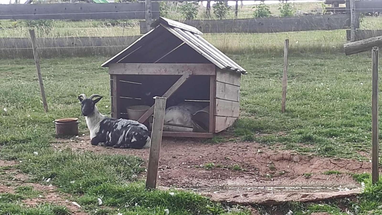 Apartman Na Statku Červený Kostelec Kültér fotó