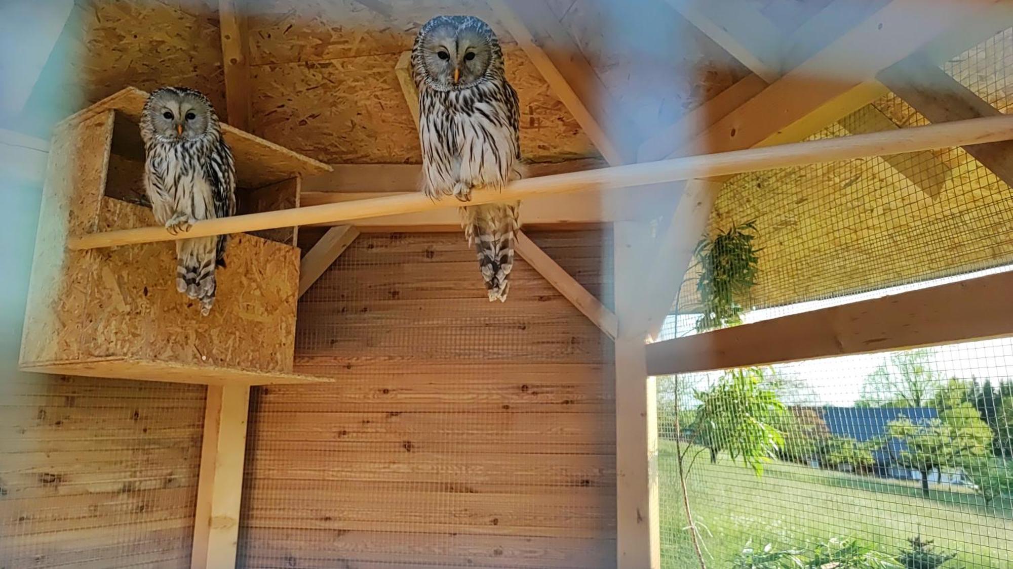 Apartman Na Statku Červený Kostelec Kültér fotó